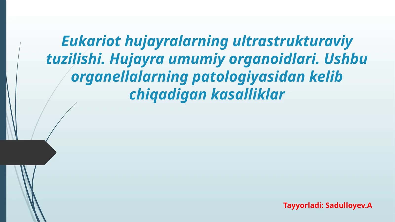 Eukariot hujayralarning ultrastrukturaviy tuzilishi.pptx 1