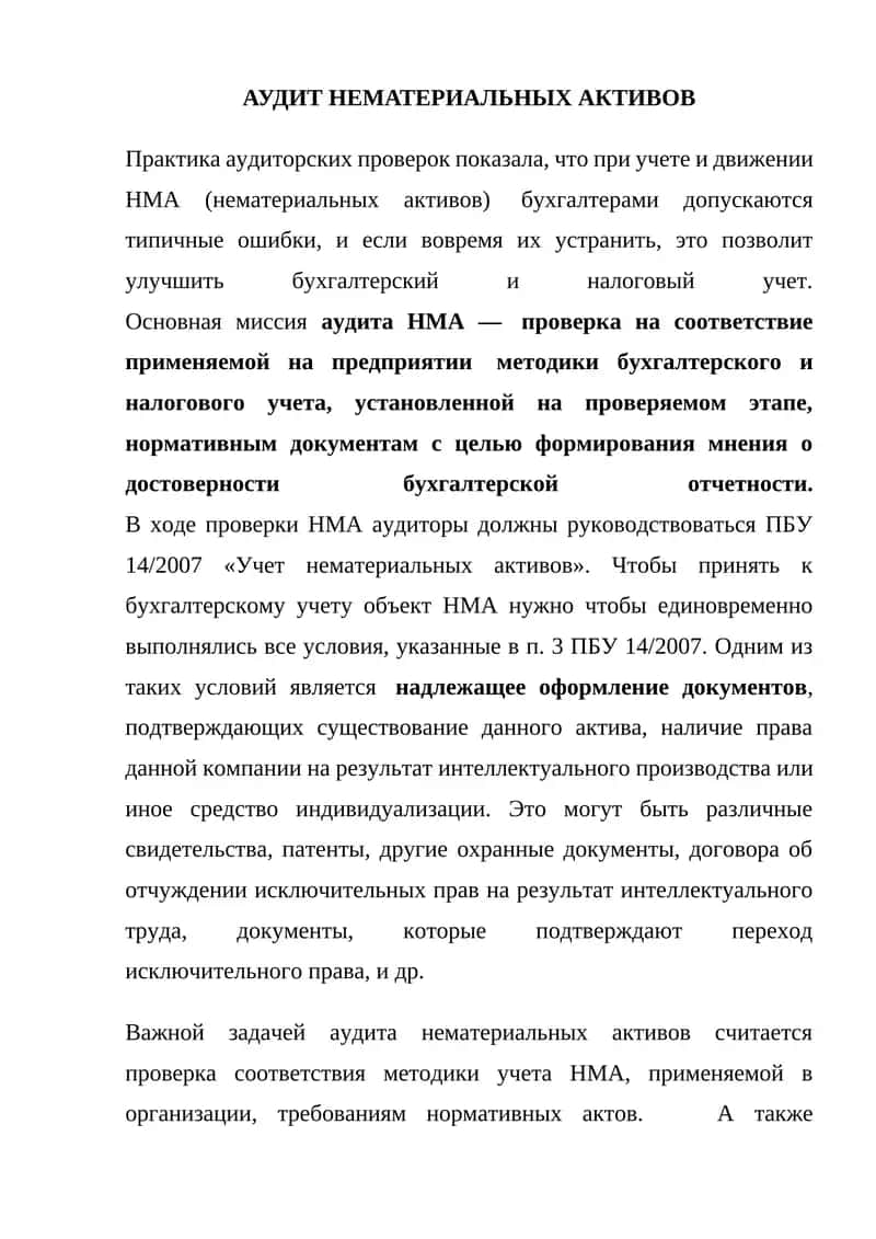АУДИТ НЕМАТЕРИАЛЬНЫХ АКТИВОВ 1