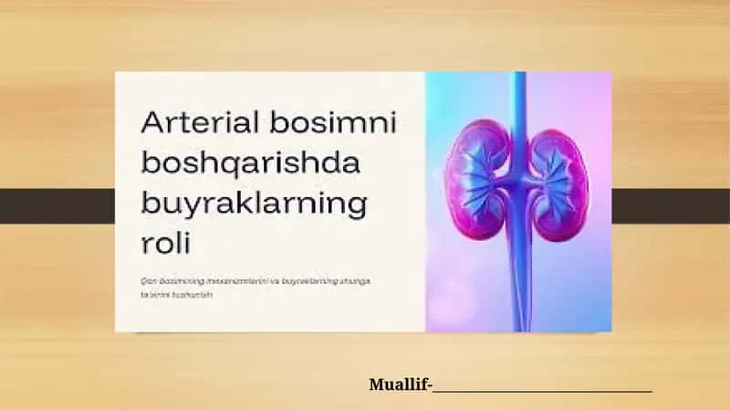 Arterial bosimning boshqariluvida buyraklarning roli 1
