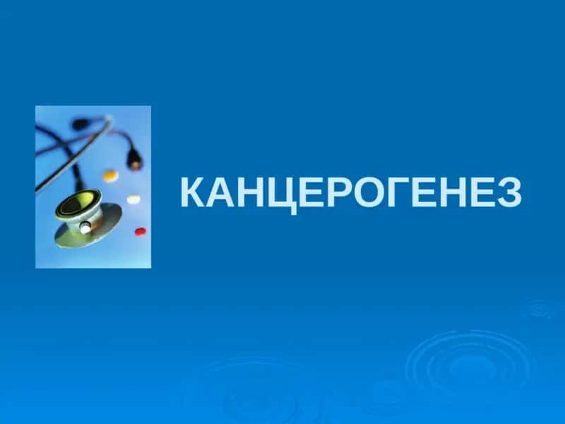 КАНЦЕРОГЕНЕЗ 1