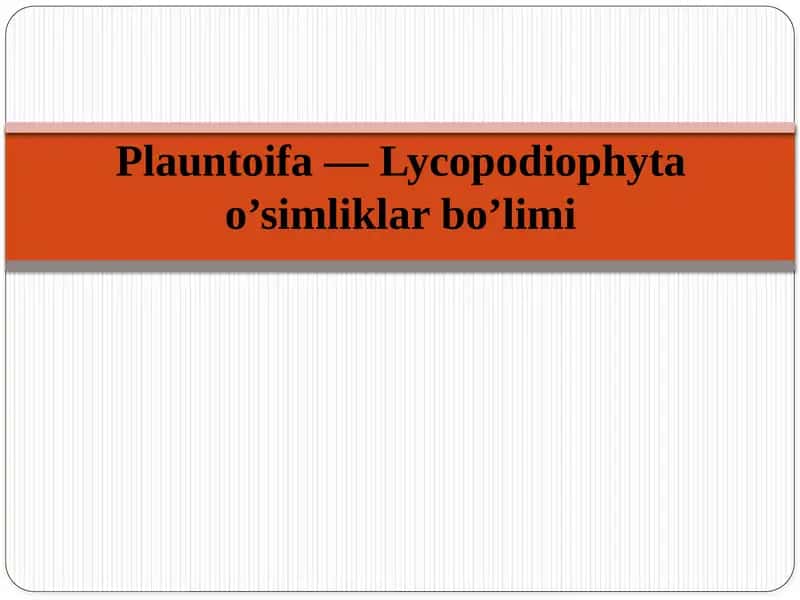 Plauntoifa — Lycopodiophyta o’simliklar bo’limi 1