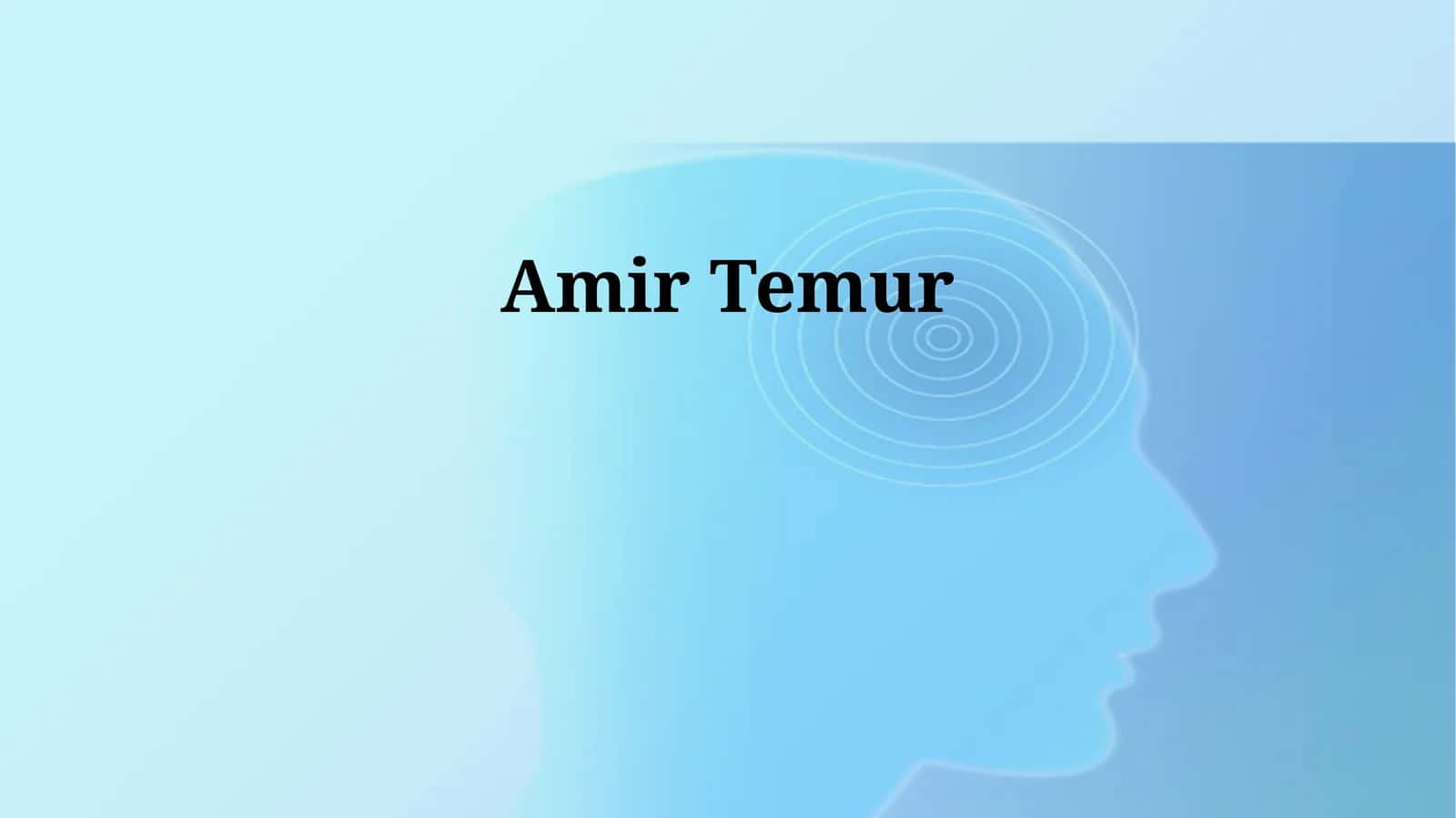 Amir Temur 1