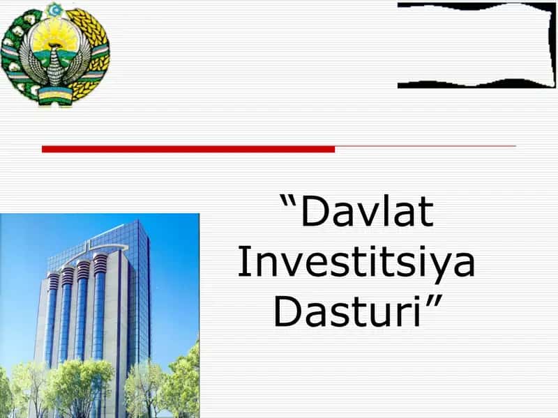 Davlat Investitsiya Dasturi 1