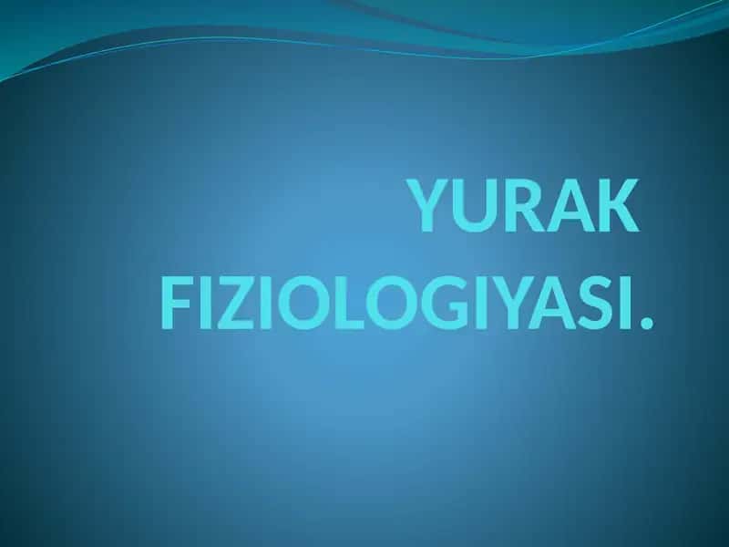 YURAK FIZIOLOGIYASI 1