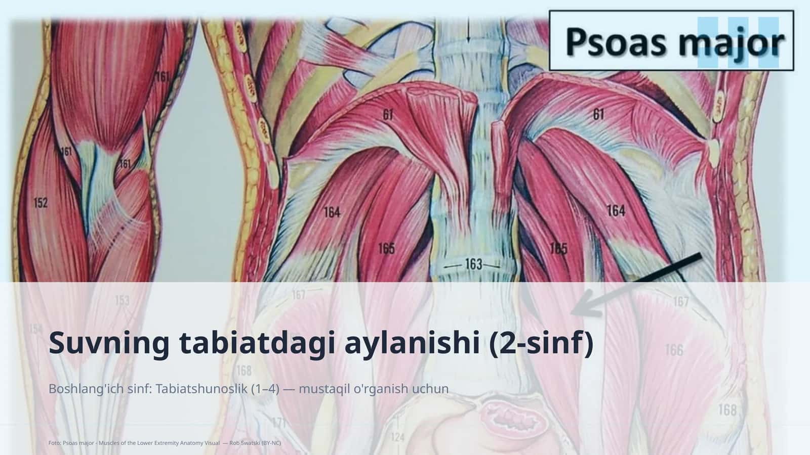 Suvning tabiatdagi aylanishi (2-sinf) 1