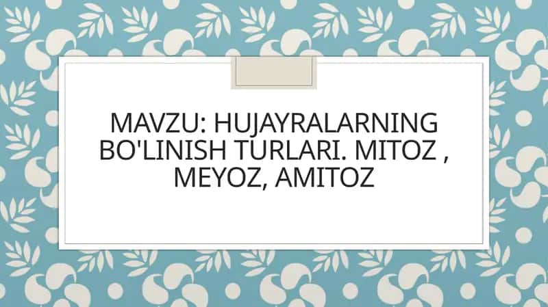 Hujayralarning bo'linish turlari. mitoz , meyoz, amitoz 1