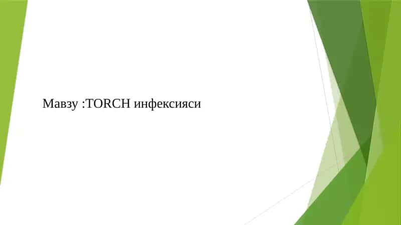 Токсоплазмоз 1