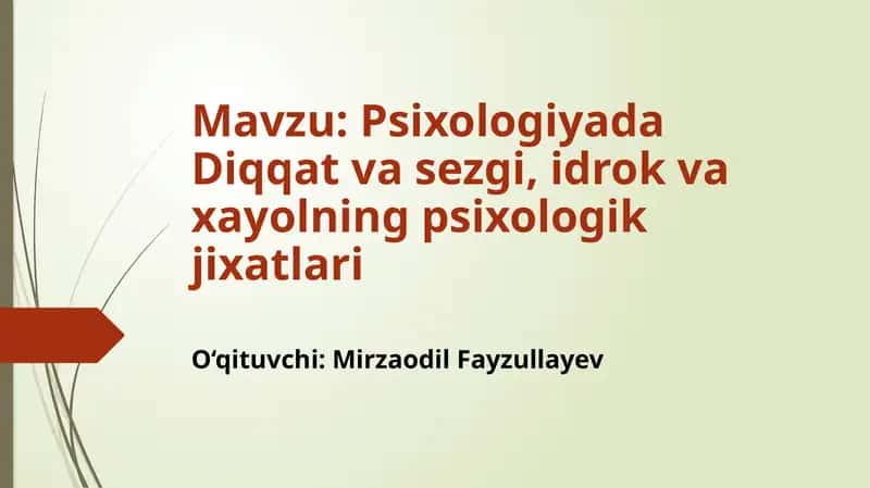 Psixologiyada Diqqat va Sezgi 1