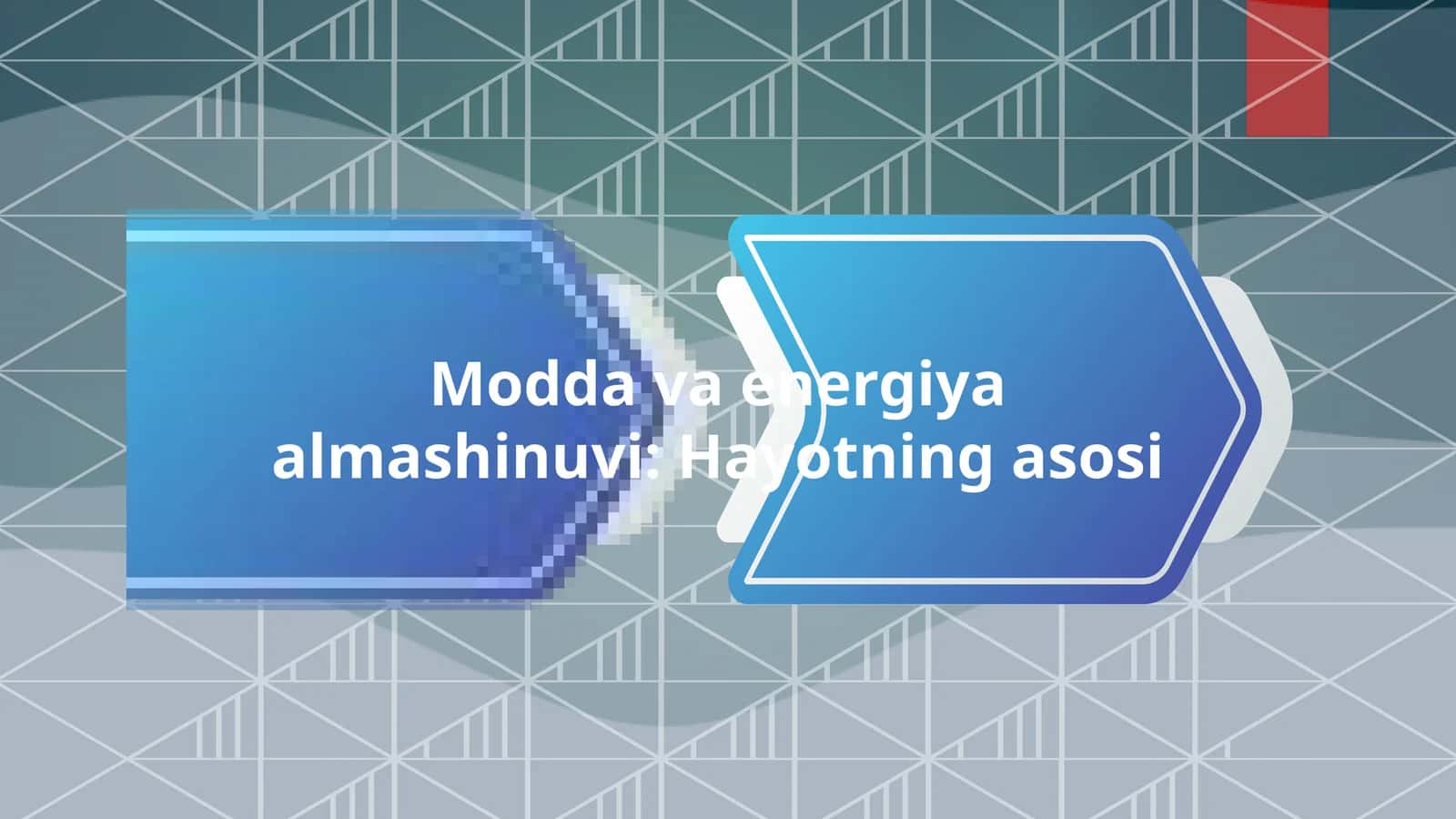 Modda va energiya almashinuvi: Hayotning asosi 1