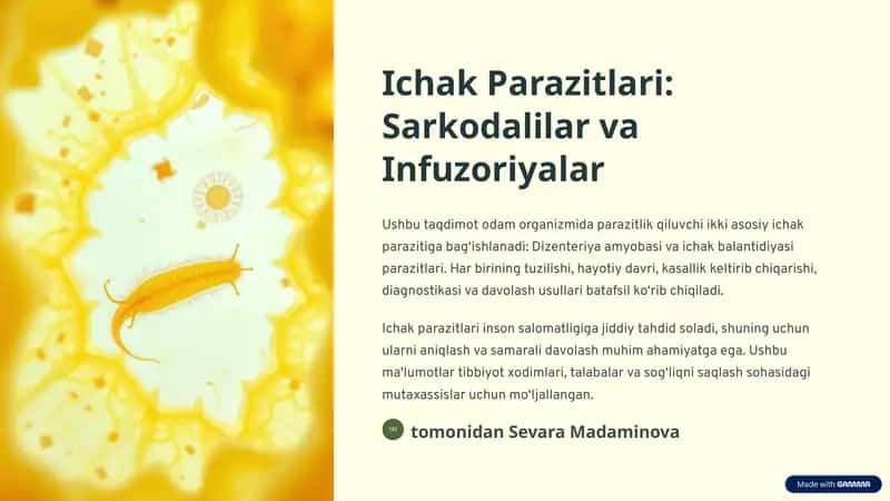 Ichak Parazitlari: Sarkodalilar va Infuzoriyalar 1