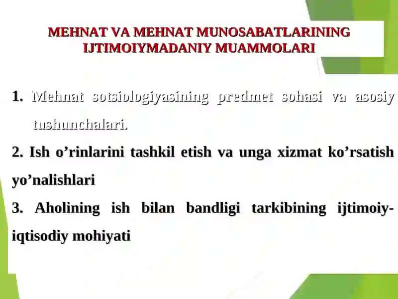 MEHNAT VA MEHNAT MUNOSABATLARINING IJTIMOIYMADANIY MUAMMOLARI