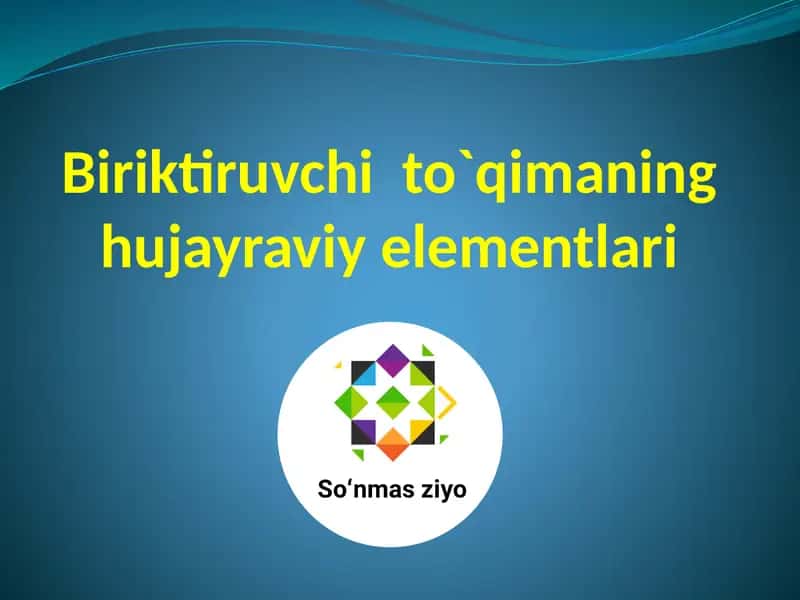 Biriktiruvchi to`qima 1