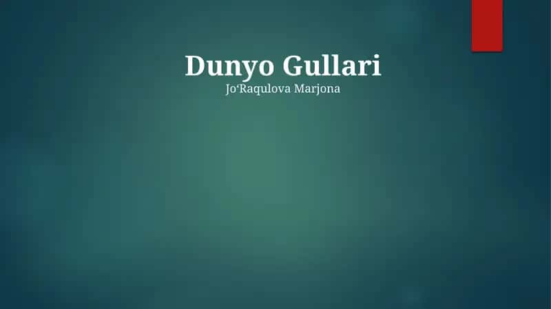 Dunyo Gullari 1