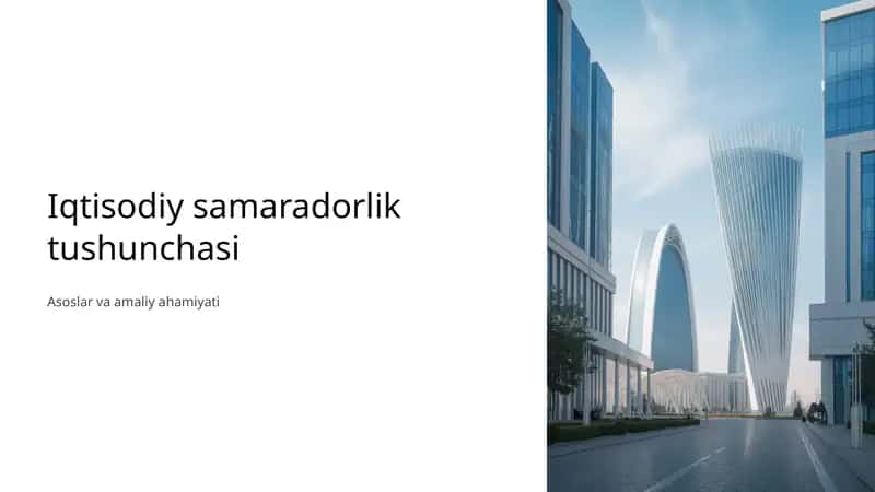 Iqtisodiy samaradorlik 1