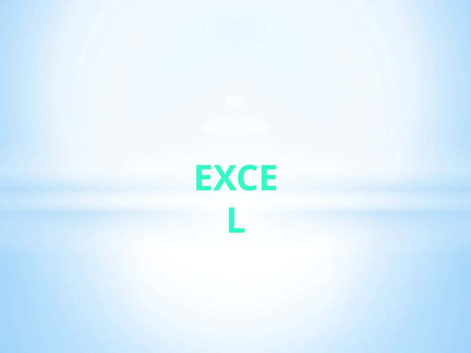 MS Excel 1