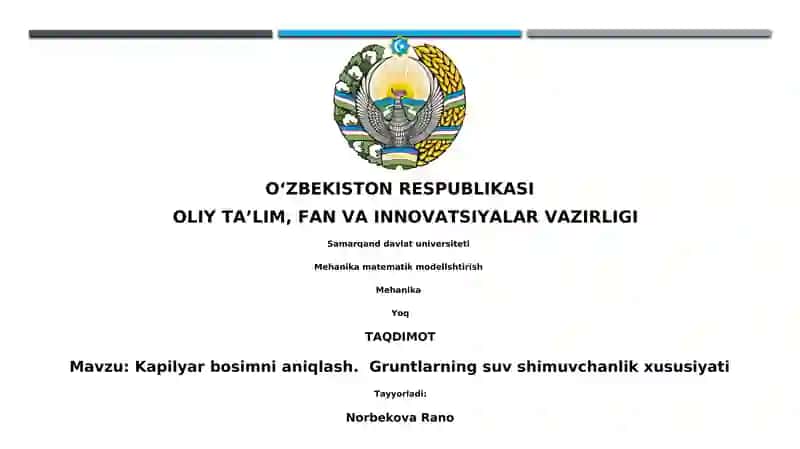 Mehaniy matematik modellashtirish