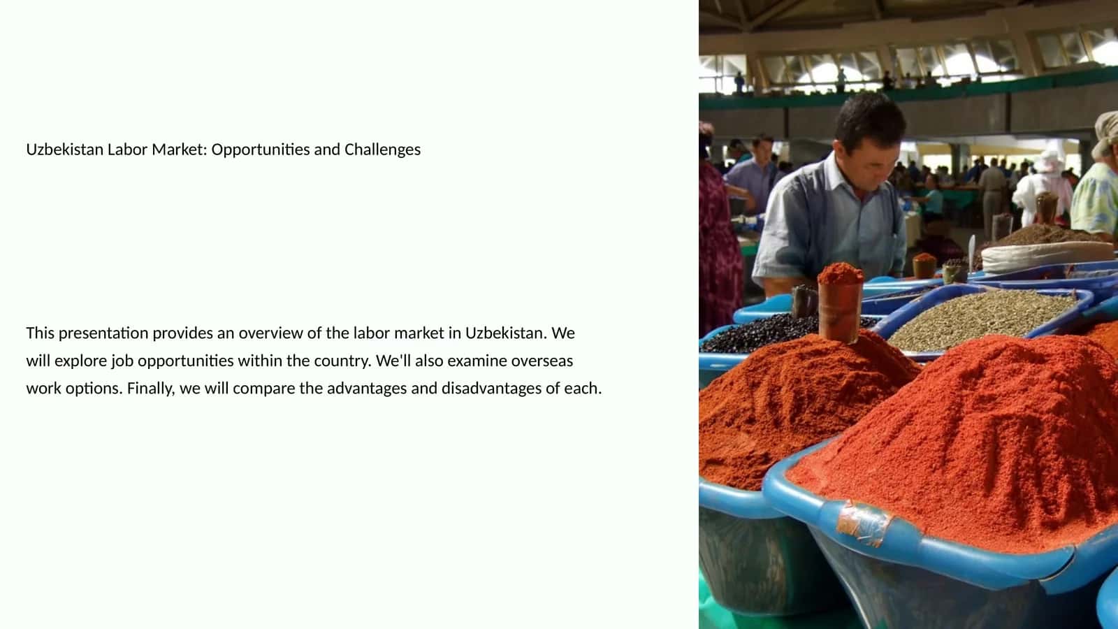 Job Opportunities in Uzbekistan 1