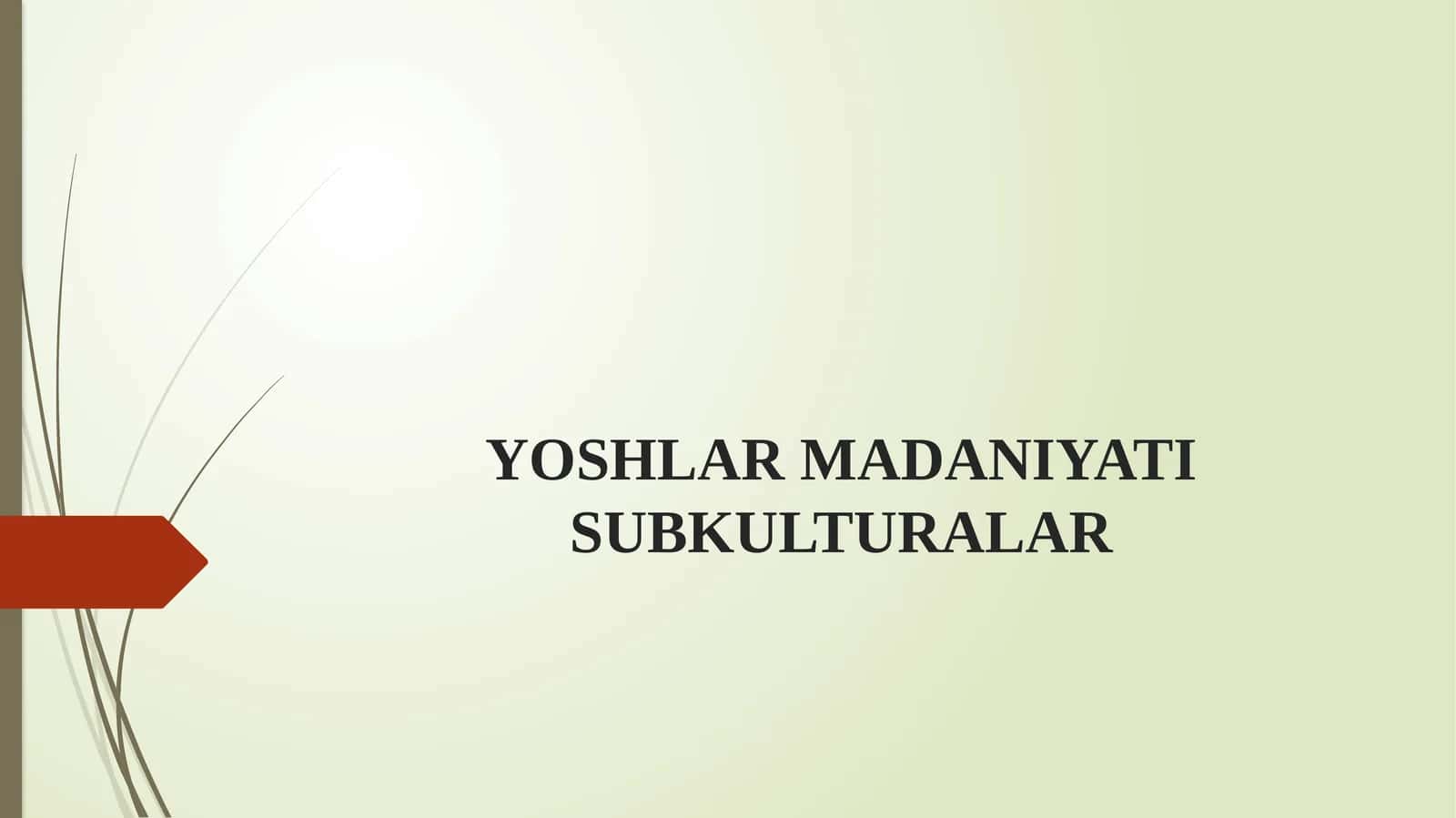 YOSHLAR MADANIYATI SUBKULTURALAR 1