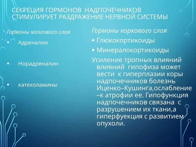 Патологическая анатомия Эндокринопатии 1