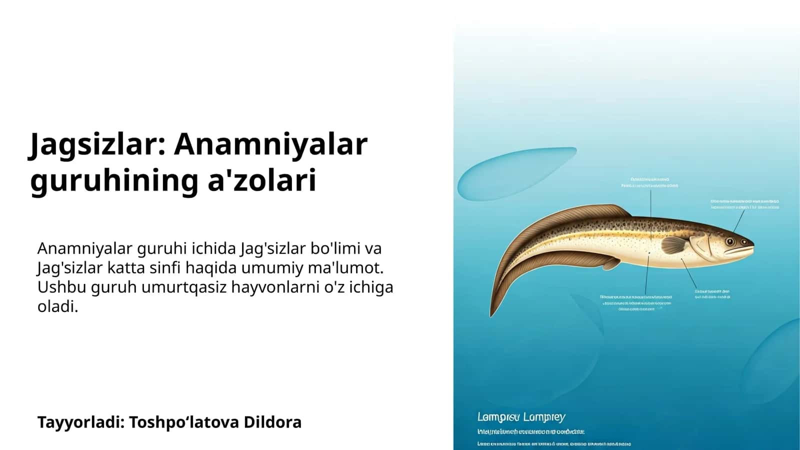 Jag'sizlar: Anamniyalar guruhining a'zolari 1