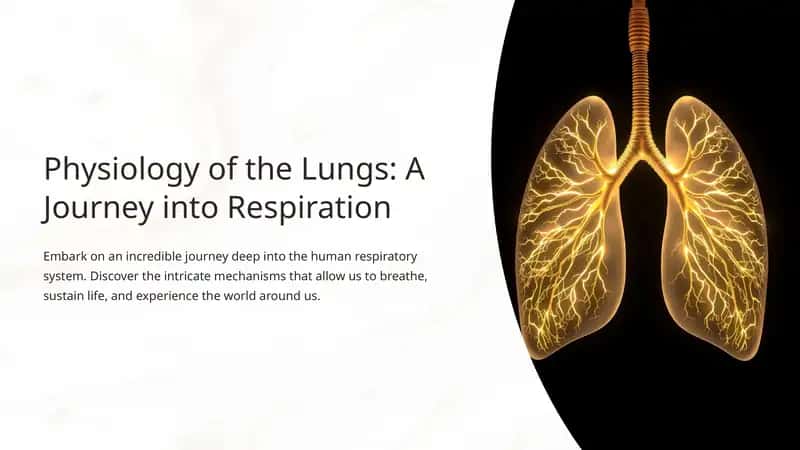 Physiology of the Lungs: A Journey into Respiration 1