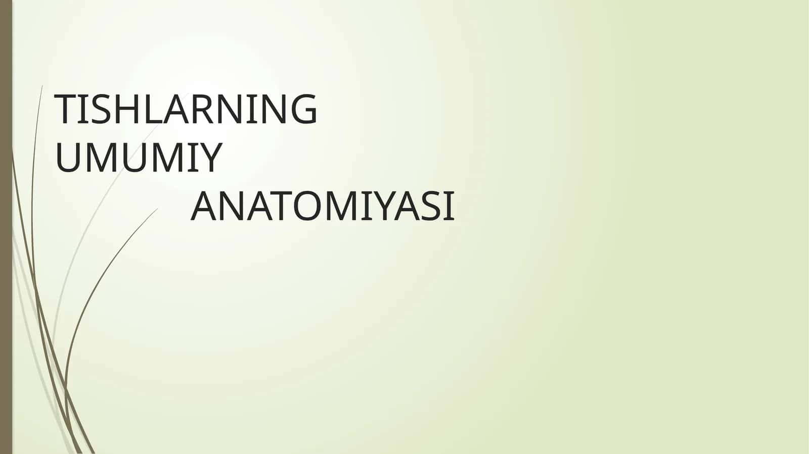 TISHLARNING UMUMIY ANATOMIYASI 1