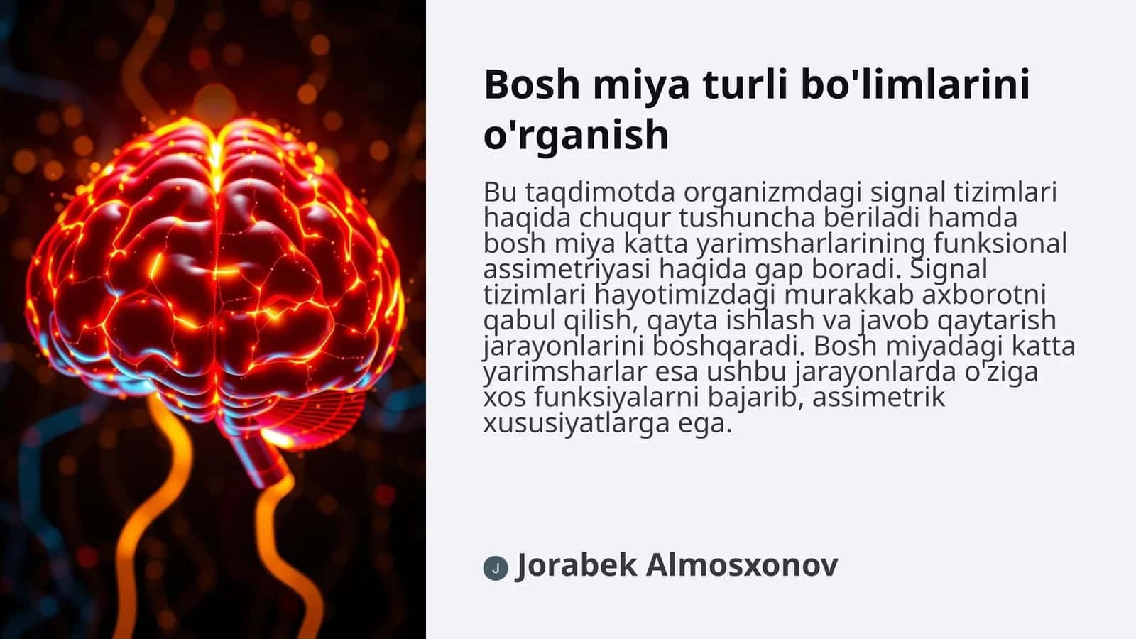 Bosh miya turli bo'limlarini o'rganish 1
