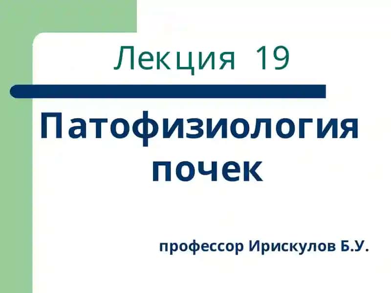 Патофизиология почек