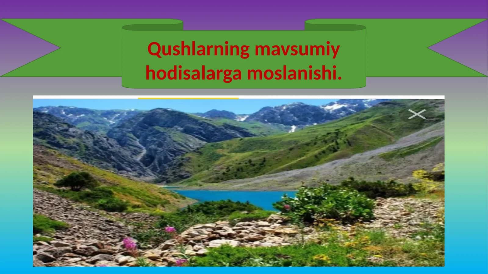 Qushlarning mavsumiy hodisalarga moslanishi 1