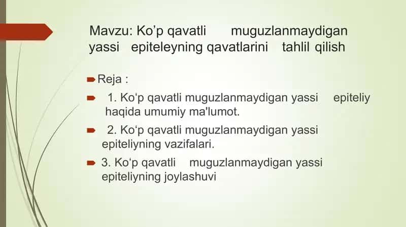ko'p qavatli muguzlanmaydigan yassi epiteliy qavatlari 1