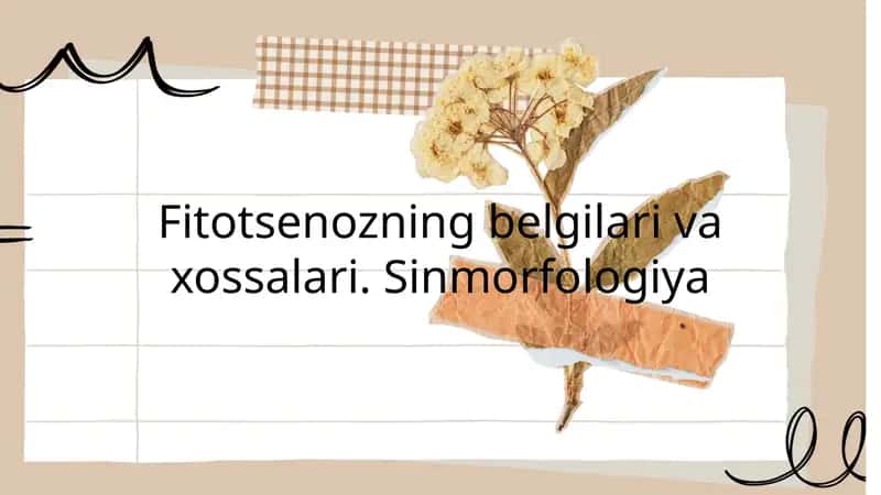 Fitotsenozning belgilari va xossalari. Sinmorfologiya