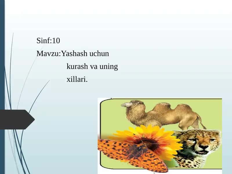 Yashashuchun kurashvauning xillari 1