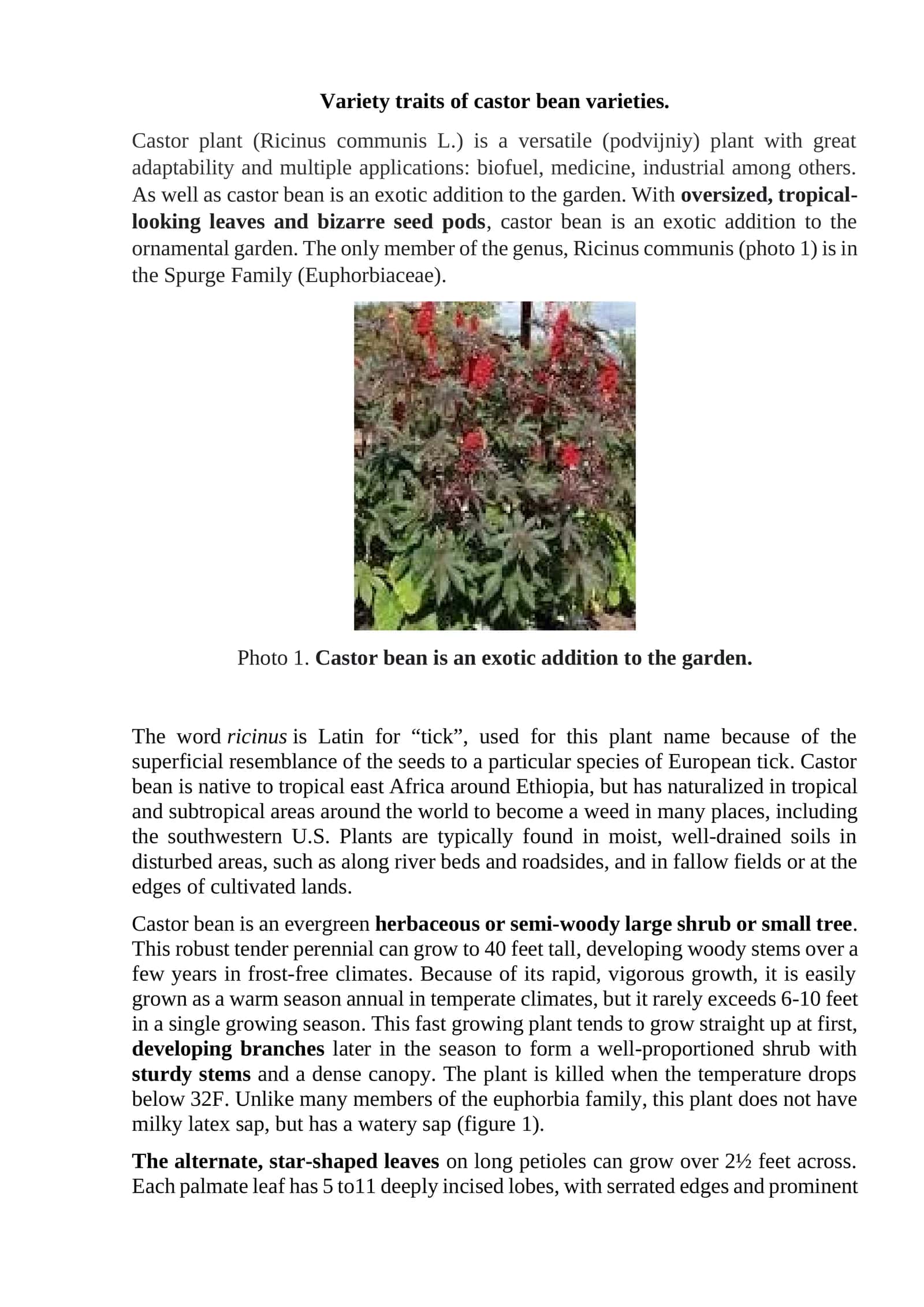 Variety traits of castor bean varieties 1