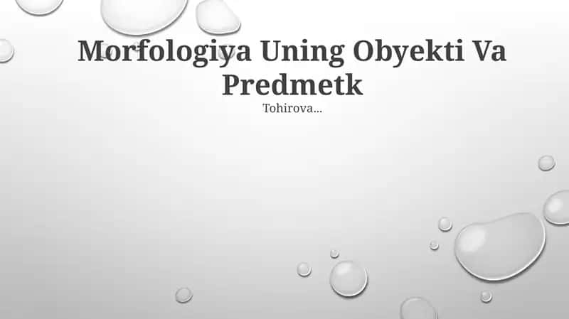 Morfologiya Uning Obyekti Va Predmeti 1