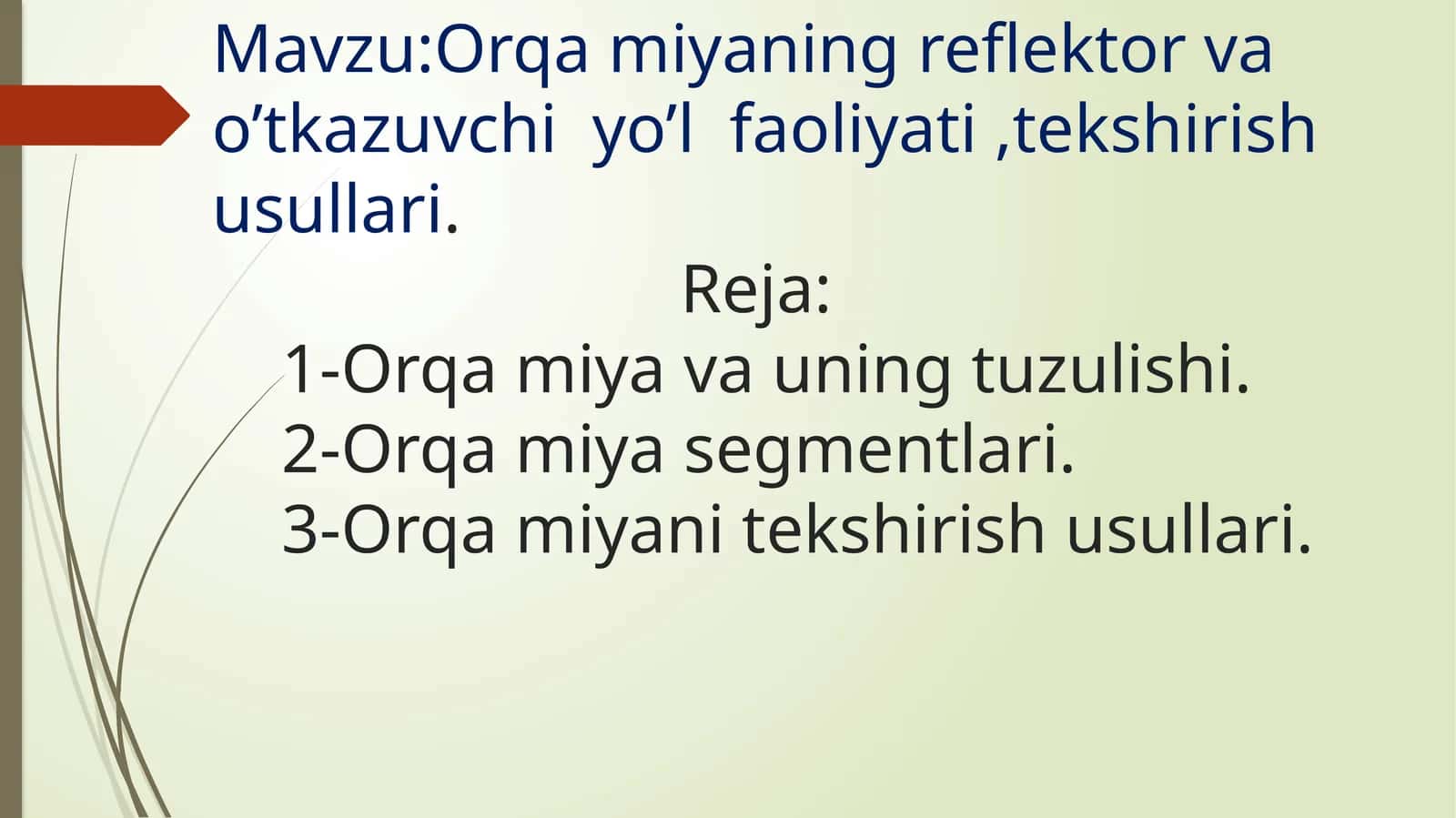 Orqamiya (Medulla spinalis) 1
