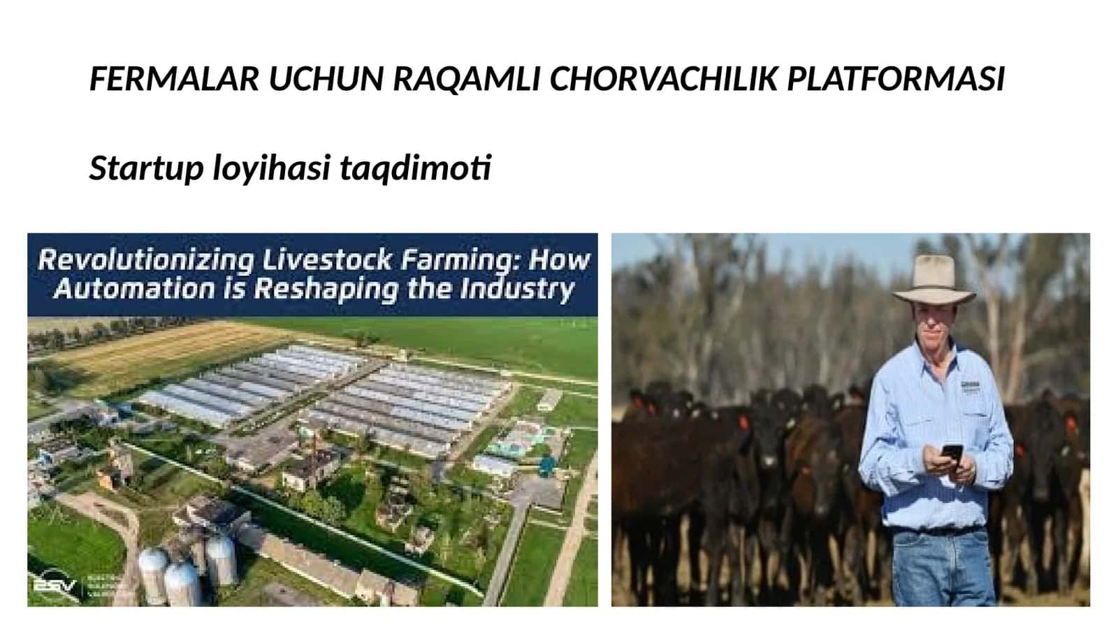 RAQAMLI CHORVACHILIK PLATFORMASI 1