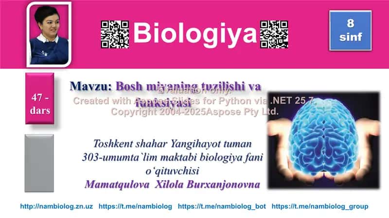 Bosh miyaning tuzilishi va funksiyasi 1