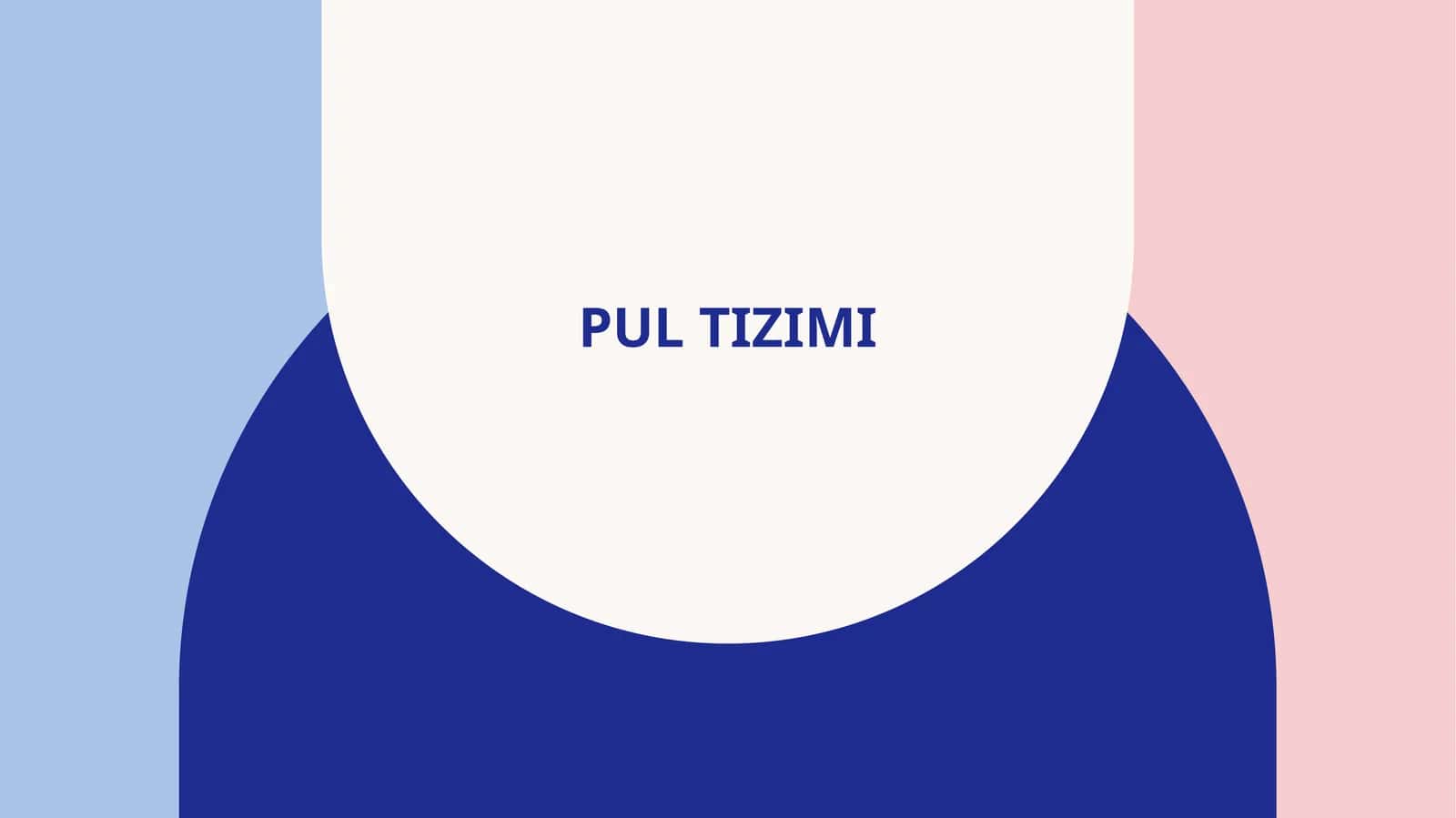 Pul tizimi 1
