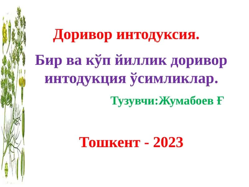 Дориворинтодуксия 1