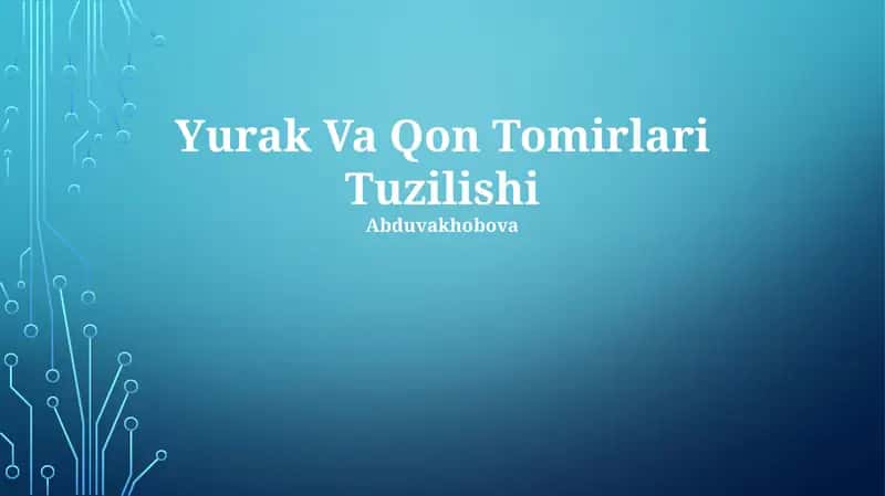 Yurak Va Qon Tomirlari Tuzilishi 1