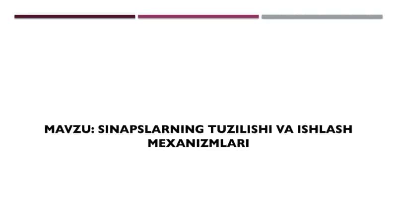 Sinapslarning tuzilishi va ishlash mexanizmlari 1