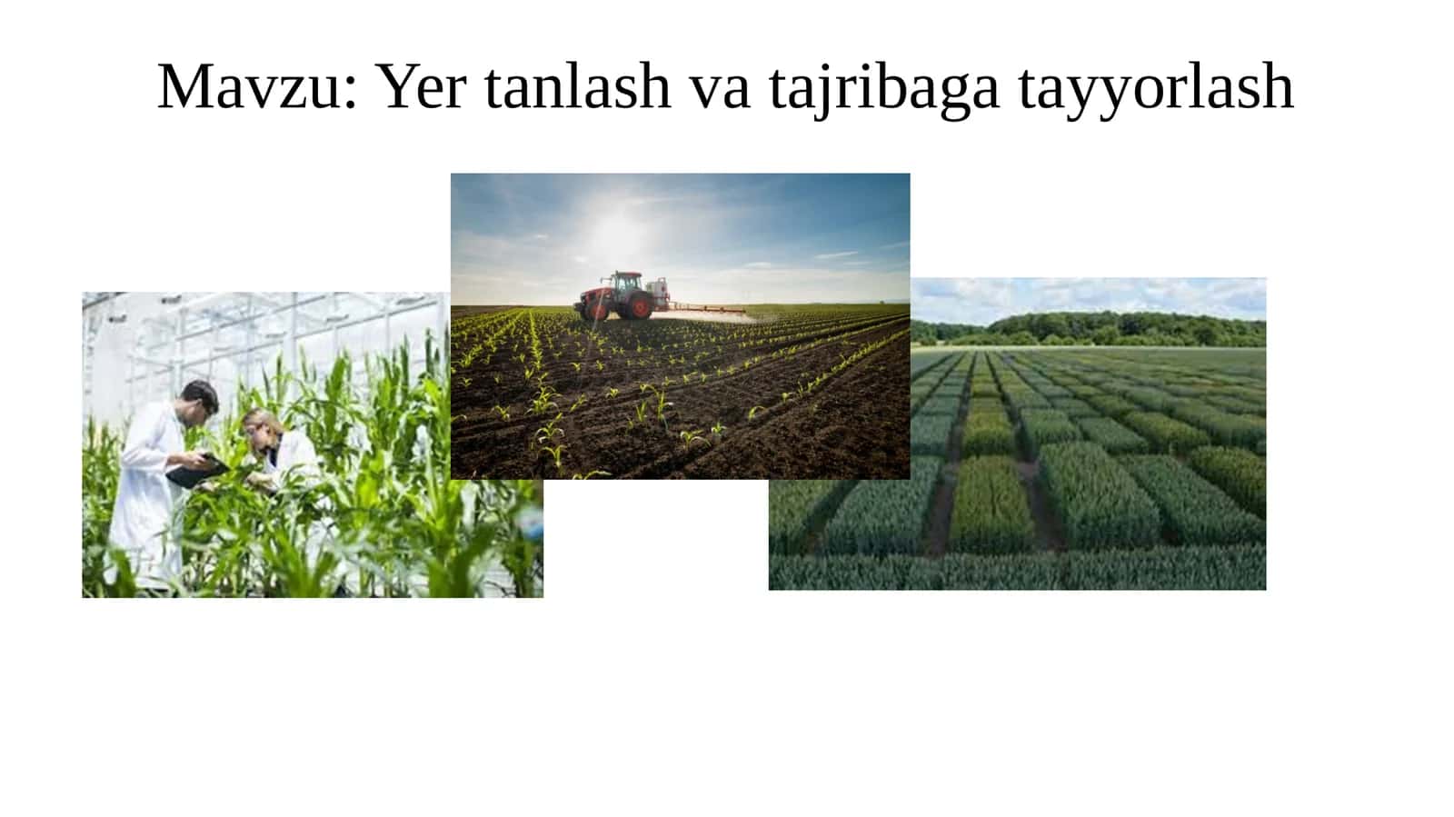 Yertanlashvatajribagatayyorlash 1