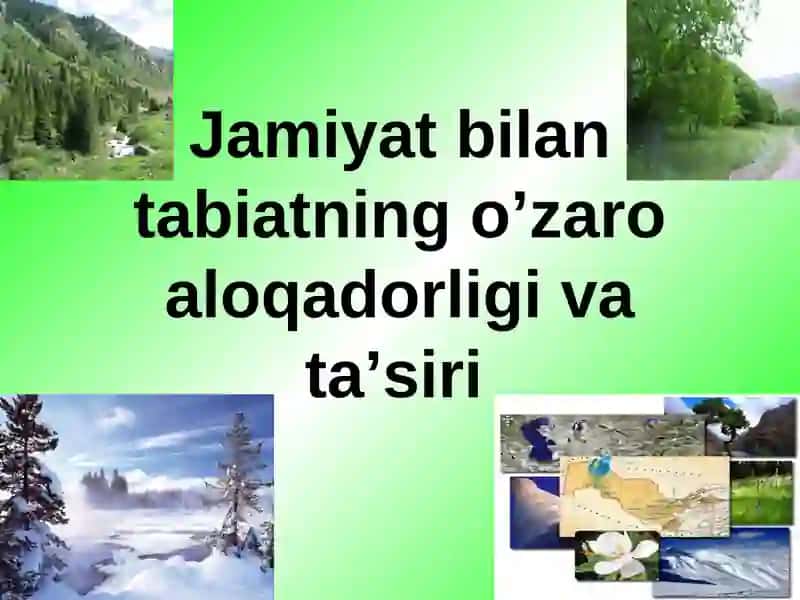 Mineral Resurslar va ularning foydali qazilmalari