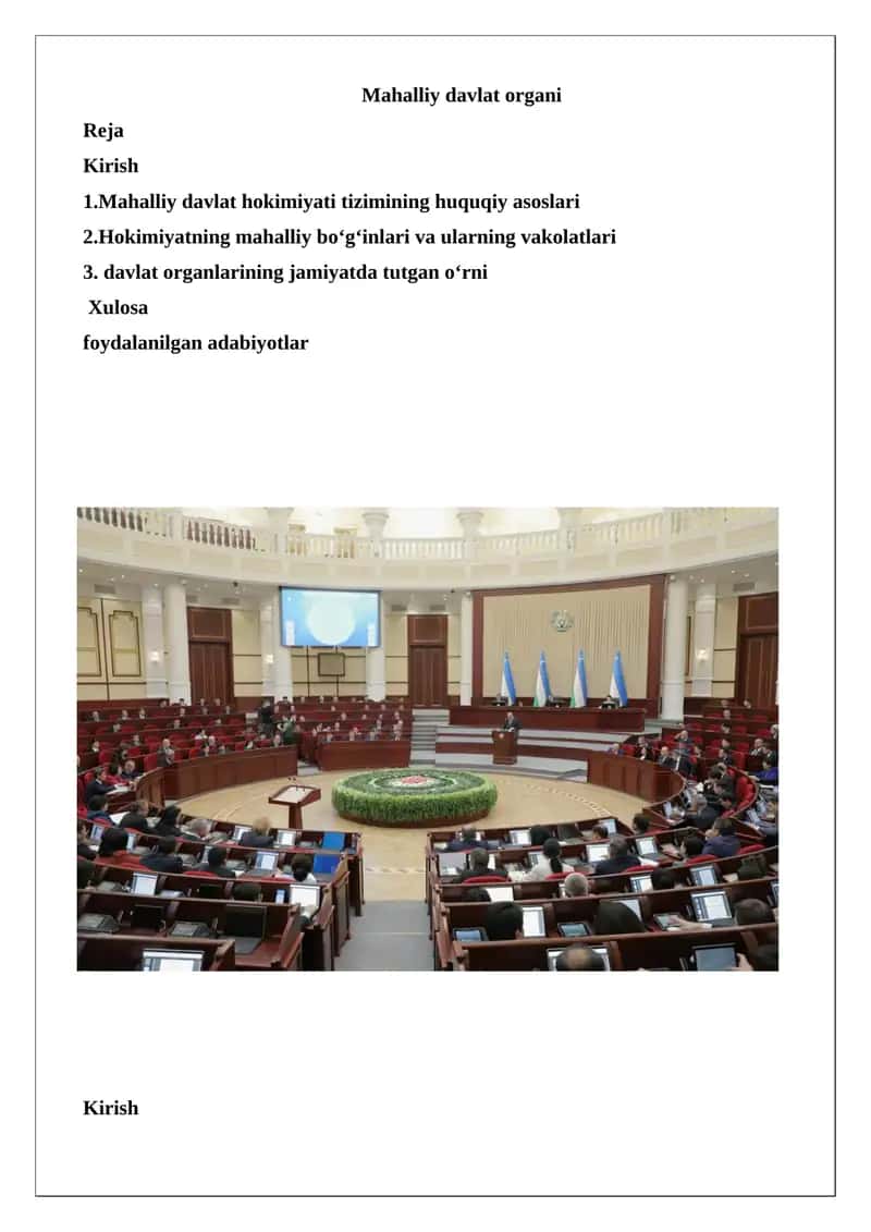 Mahalliy Davlat Organi 1