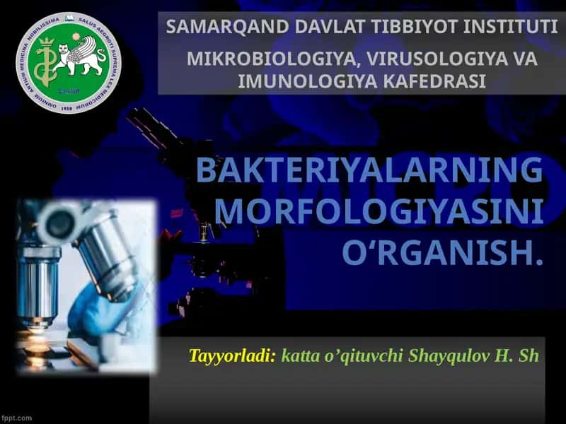 BAKTERIYALARNING MORFOLOGIYASINI O‘RGANISH 1