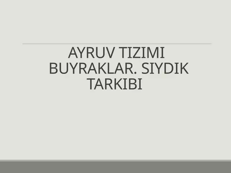 AYRUV TIZIMI BUYRAKLAR. SIYDIK TARKIBI 1
