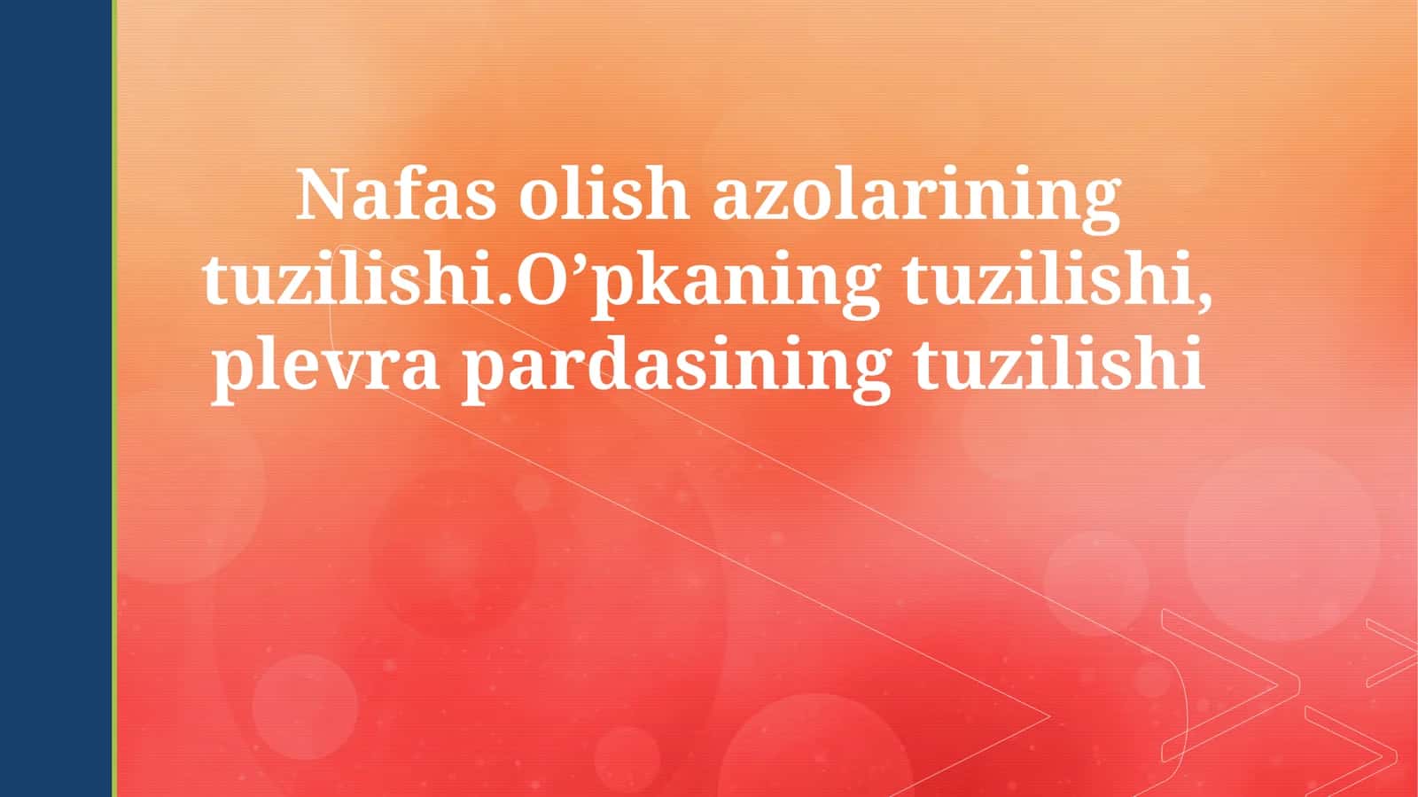 Nafas olish azolarining tuzilishi 1