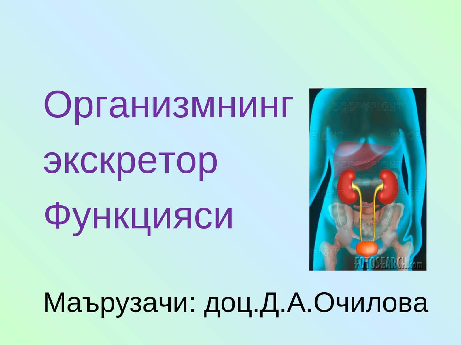 Экскретор функцияси 1