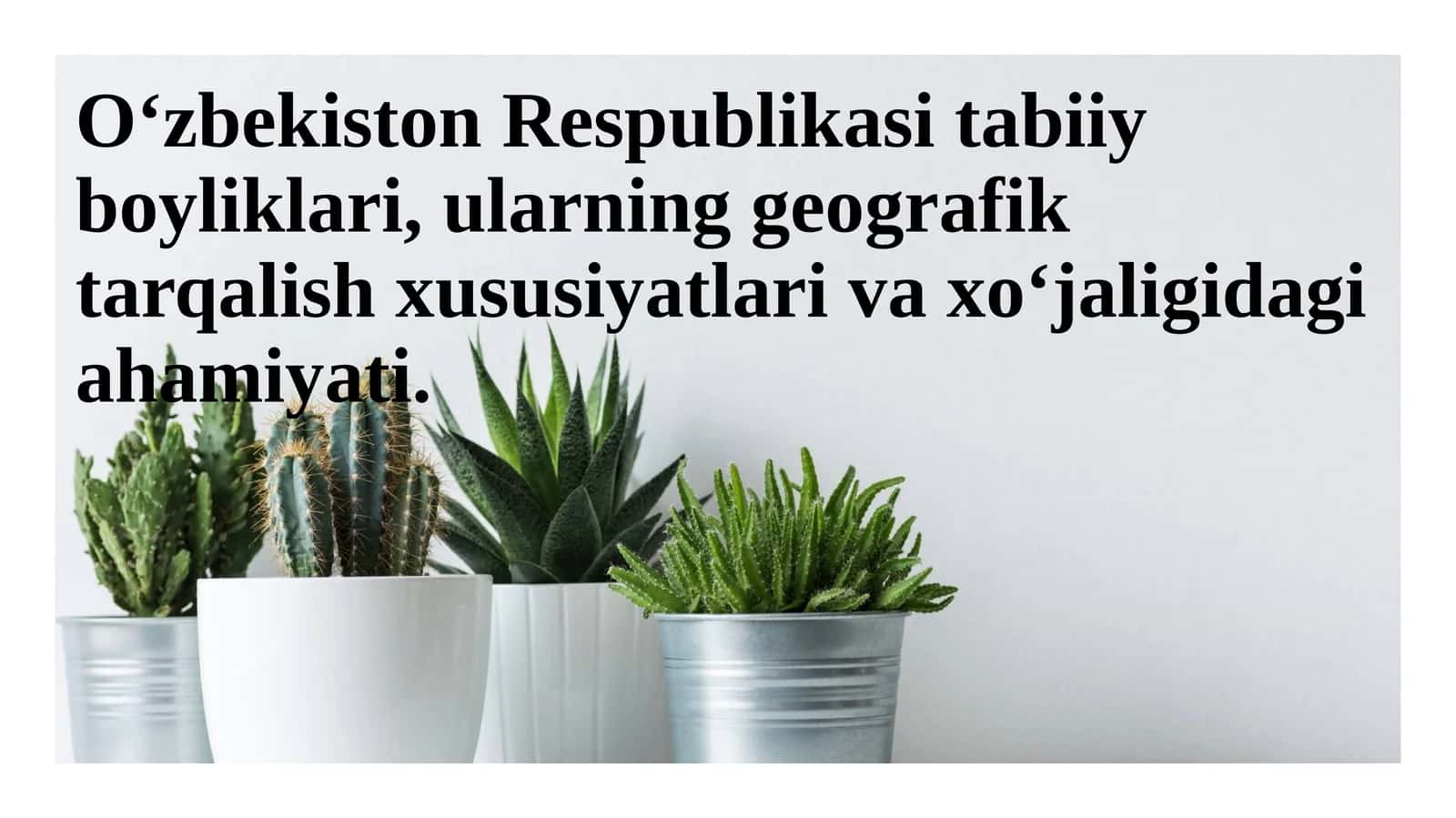 O'zbekiston tabiiy boyliklari 1