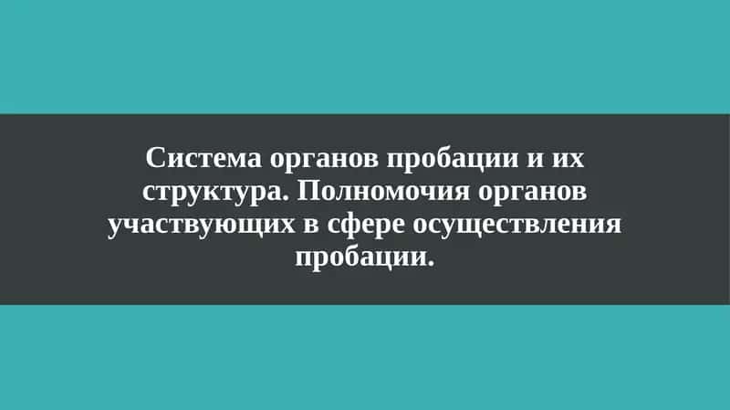 Система органов пробации и их структура 1